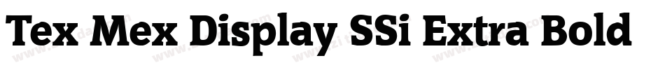 Tex Mex Display SSi Extra Bold字体转换